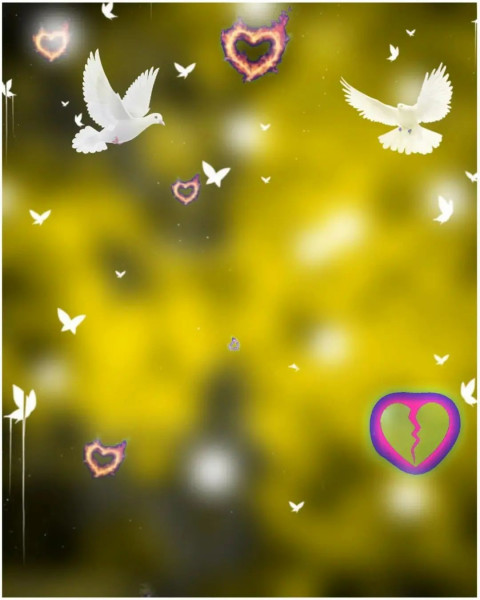 Birds CB New Editing Background HD Download For PicsArt