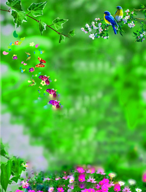 Birds PicsArt CB Photo Editing New Background Full HD