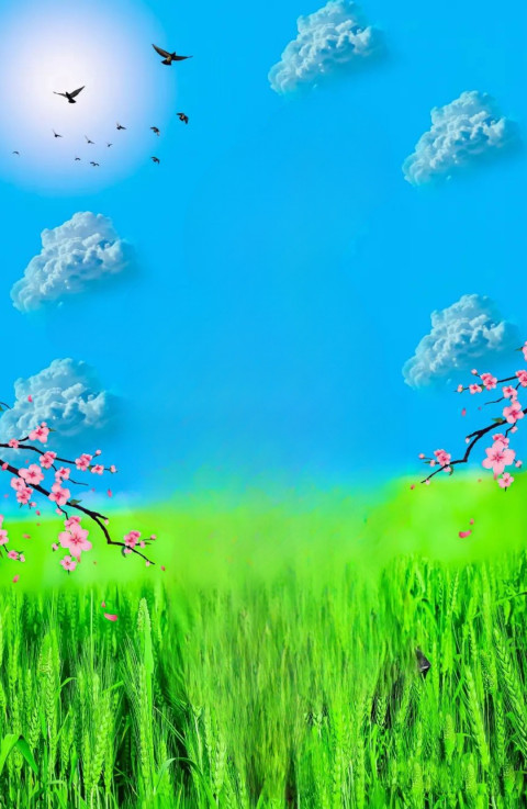 CB HD Background Gradss Images For NEw Editing