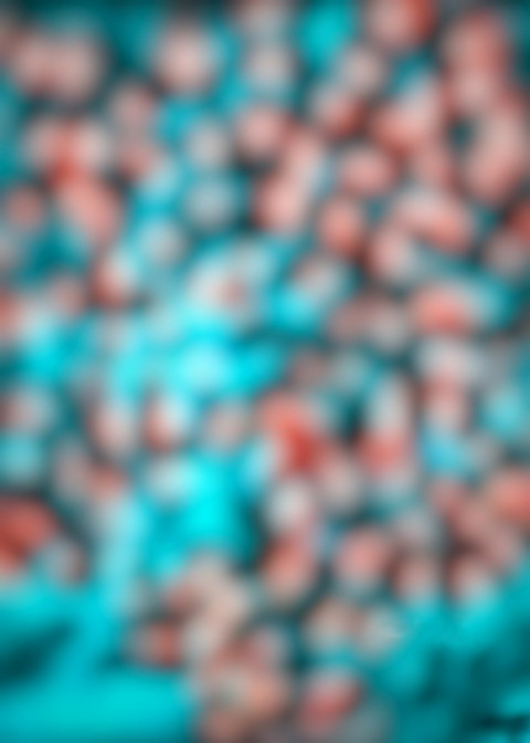 CB PicsArt Background Download Full HD For Editing