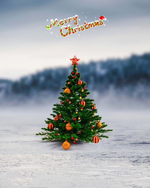 Christmas Tree New HD Background For CB Editing