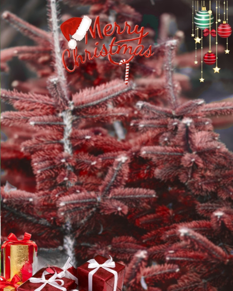 Free Merry Christmas Day CB Editing Background Hd