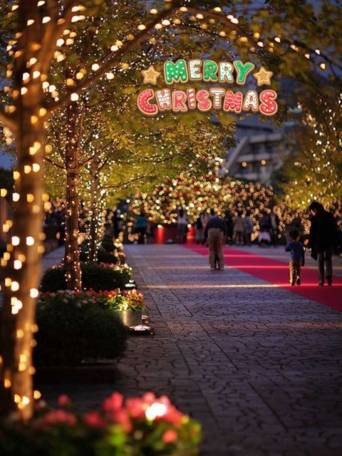 Full Hd Christmas Background for Snapseed New Editing Photos
