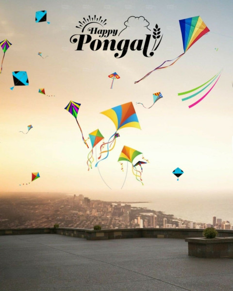 Happy Makar Sankranti Kite CB Background Free Stock Photo Editing