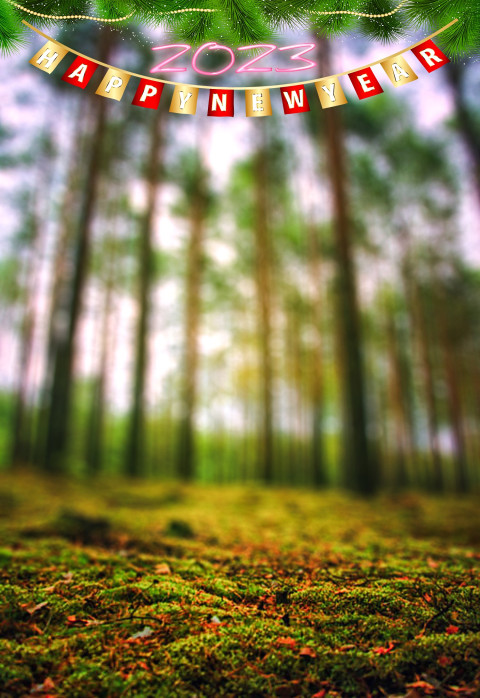 Happy Near Year 2023 Forest Blur CB Editing Background Free