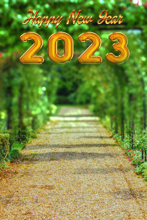 Happy Near Year 2023 Forest Blur CB Editing Background New