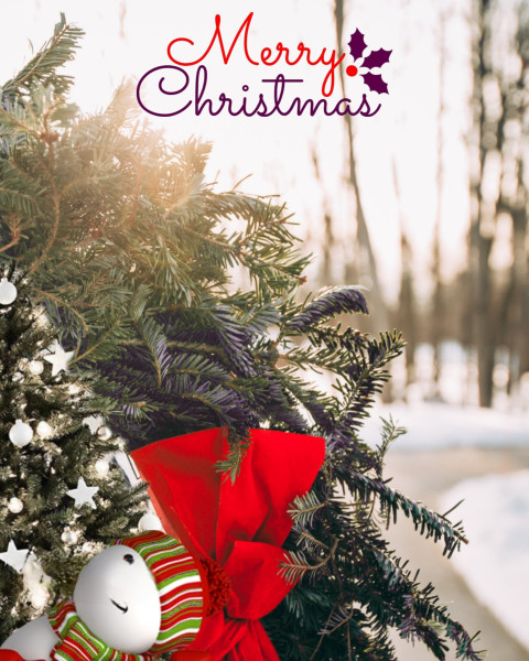 Hd Merry Christmas Photoshop Editing Background