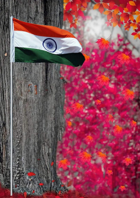 Independence Day Editing Snapseed Red Background HD
