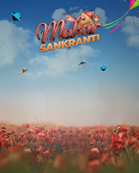 Makar Sankranti Photoshop Editing CB Background HD