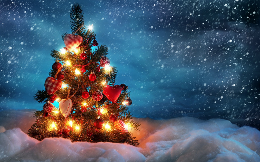 Merry Christmas Day Tree CB Photoshop Background New