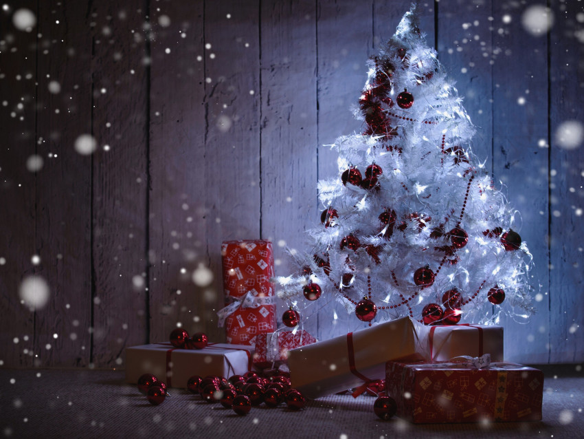Merry Christmas Day Tree CB Snapseed HD Background