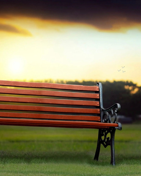 Park Bench Photoshop Background HD For Editing Images