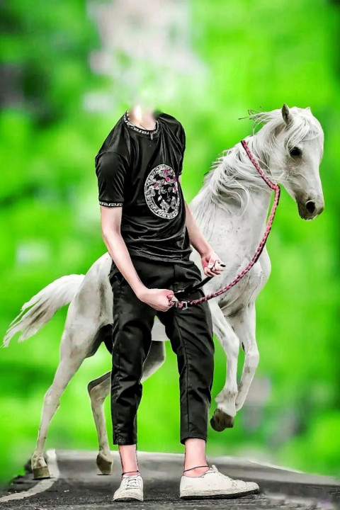 Snapseed CB Horse Photo Editing Without Head Background