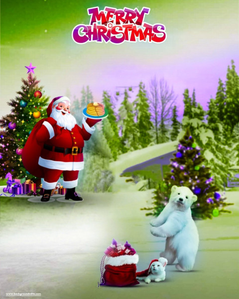 Snow Bear Christmas HD Editing Backgrounds