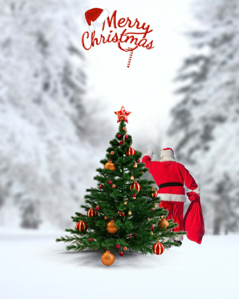 Snowfall With Christmas Tree Editing HD Background Free