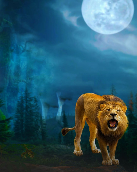 Tiger HD Wallpapers New Images Editing Background