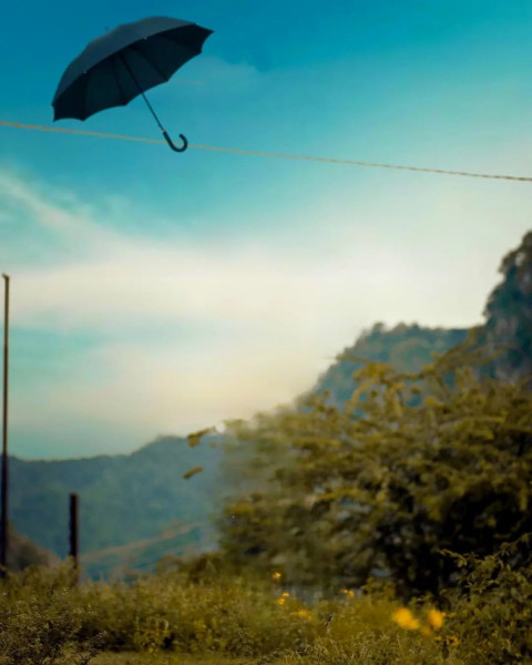 Umbrella Photoshop Instagran Viral Background For Photo Editing