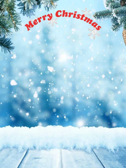 Winter Snowfall Christmas Free New Background Images HD For Editing