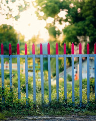 Blur Nature Photo Editing Blur Background