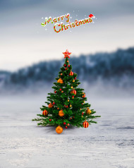 Christmas Tree New HD Background For CB Editing