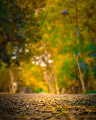 Creative HD Park Background Images Free For CB Editing Pictures