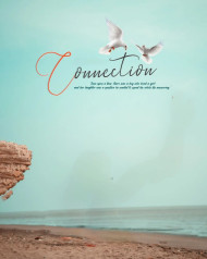 Full HD Birds Background CB Editing Photoshop Free Images