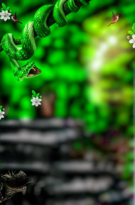 Green Snake CB Editing New Background Full HD
