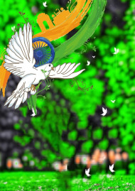 Independence Day 15 August Editing Snapseed Birds Background HD