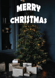 Merry Christmas CB Snapseed Editing Background HD