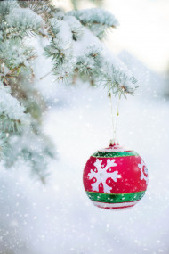 Merry Christmas Day Tree CB Snapseed Background Winter