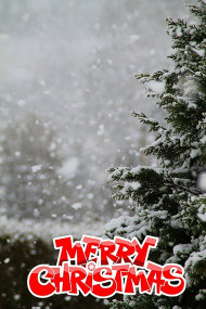Merry Christmas Day Tree CB Snapseed Editing Background
