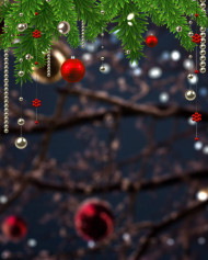 Merry Christmas Editing Tree CB Photoshop Background HD
