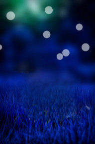 New Viral CB Bokeh Background HD For Photo Editing