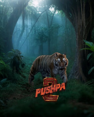 Pushpa 2 South Movie Background For Tiger Photo Editing