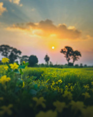 Stylish Sunrise Hd Background For Editing Image