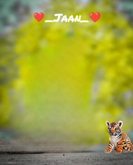 Tiger Lover CB PicsArt Editing Background HD Free Download