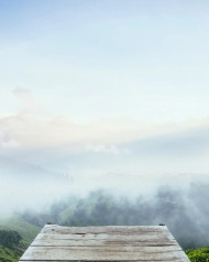 White Cloud With Wood Sky Background Free Images